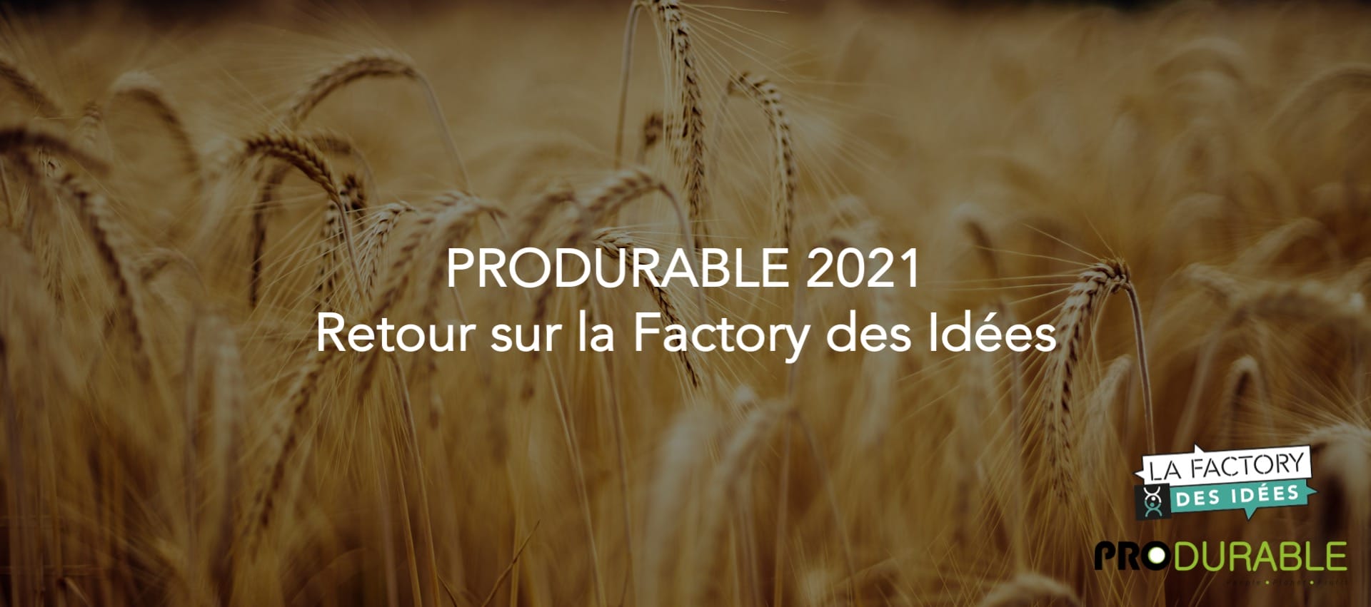 Les engagements du Groupe Panzani pour la filière blé dur française